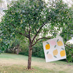 Load image into Gallery viewer, Memi&#39;s Lemon Quilt
